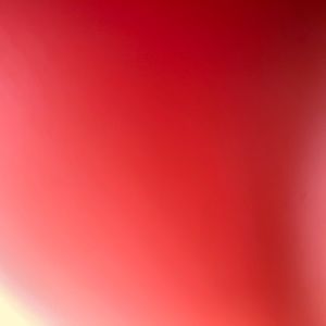 Meet your Posher, Jamarea